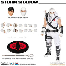 Load image into Gallery viewer, G.I. Joe: Storm Shadow One:12 Collective Action Figure